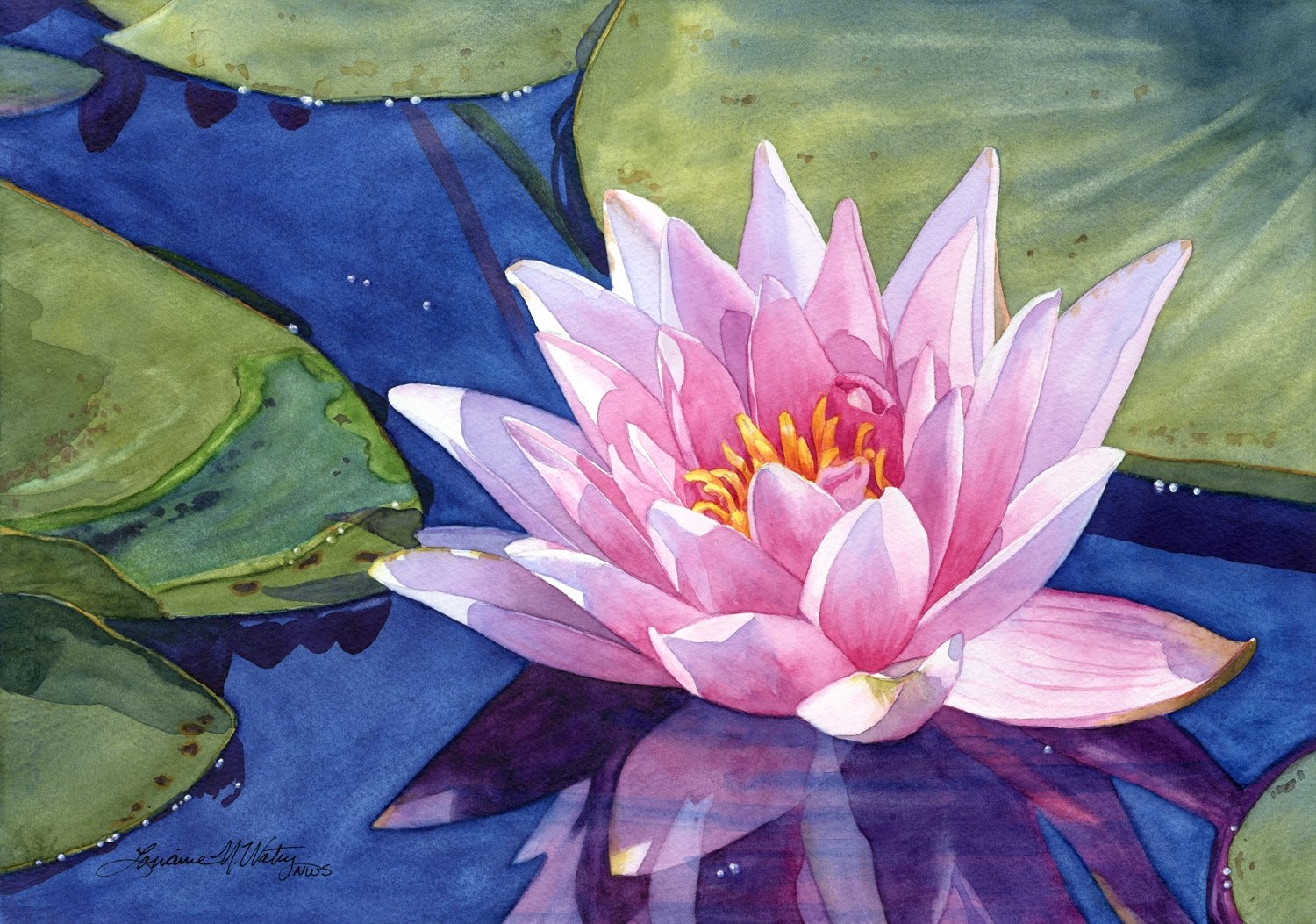 Water-Bloom-watercolor-by-Lorraine-Watry.jpg