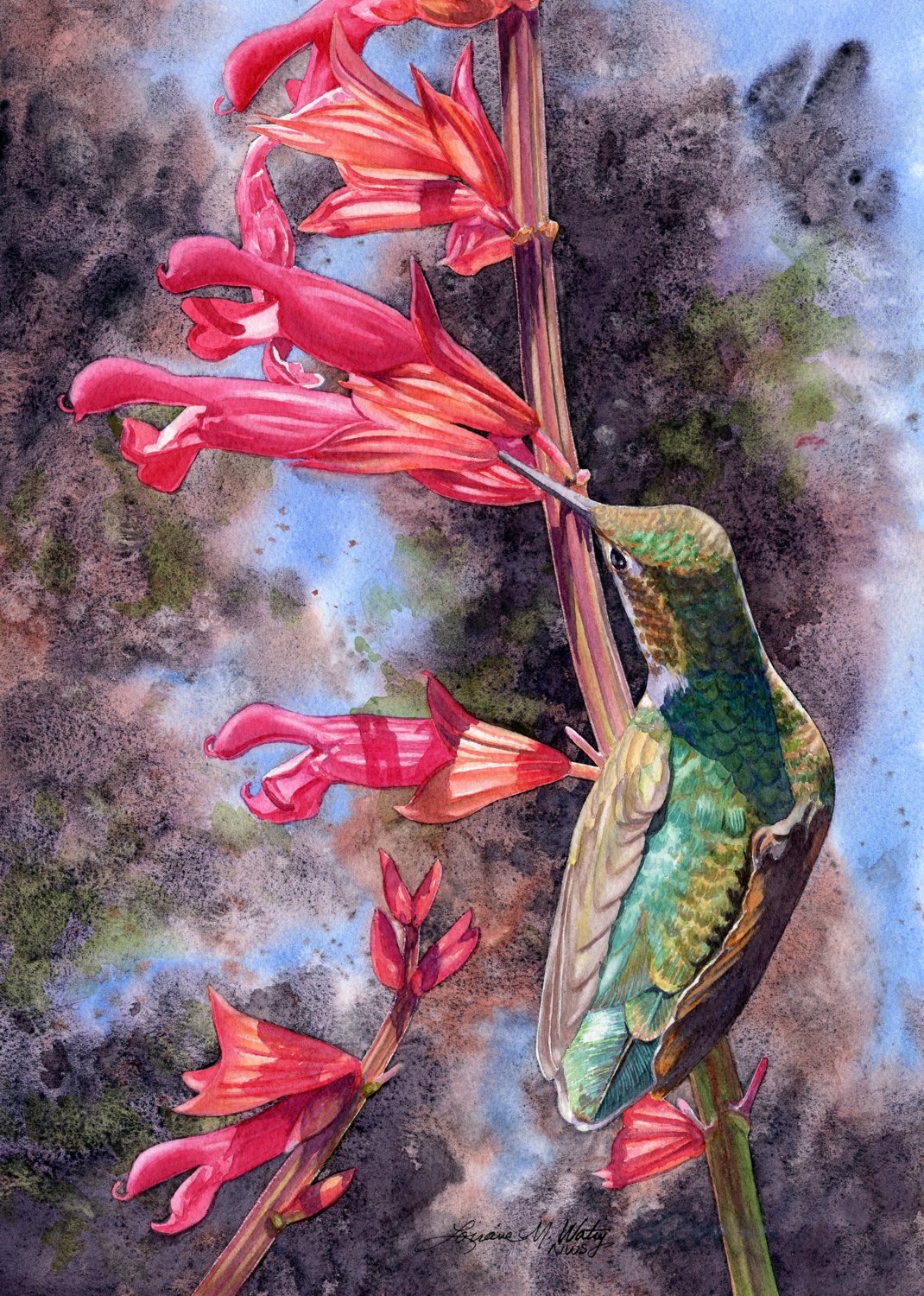 Salvia-Sipping-watercolor-Lorraine-Watry.jpg