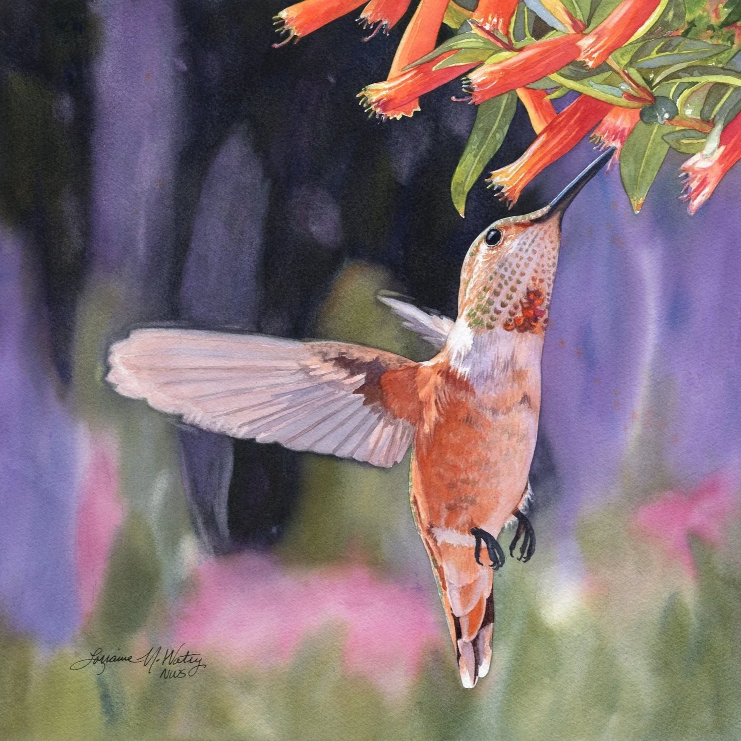 Flight-of-Fancy-watercolor-by-Lorraine-Watry.jpg