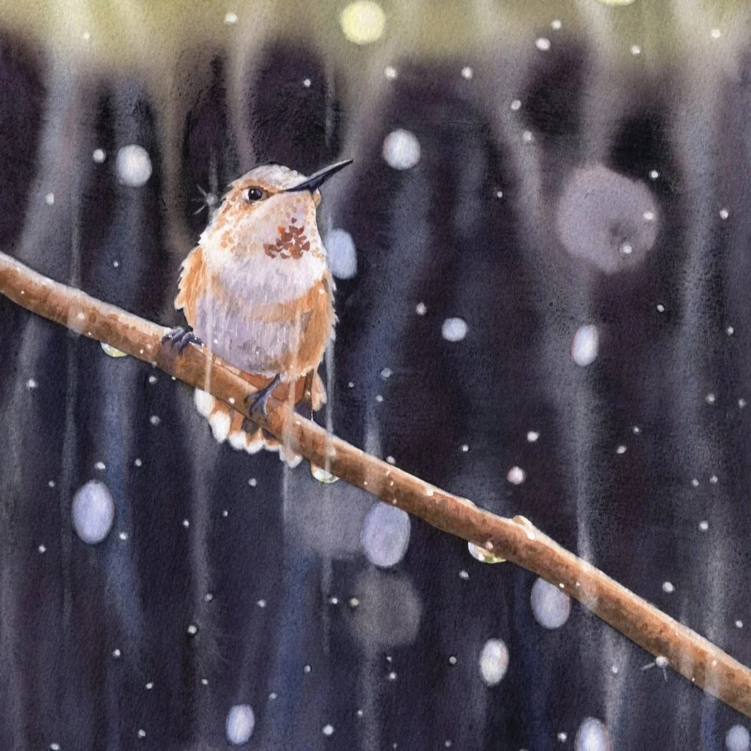 Rainy-Day-Rufous-watercolor-Lorraine-Watry.jpg