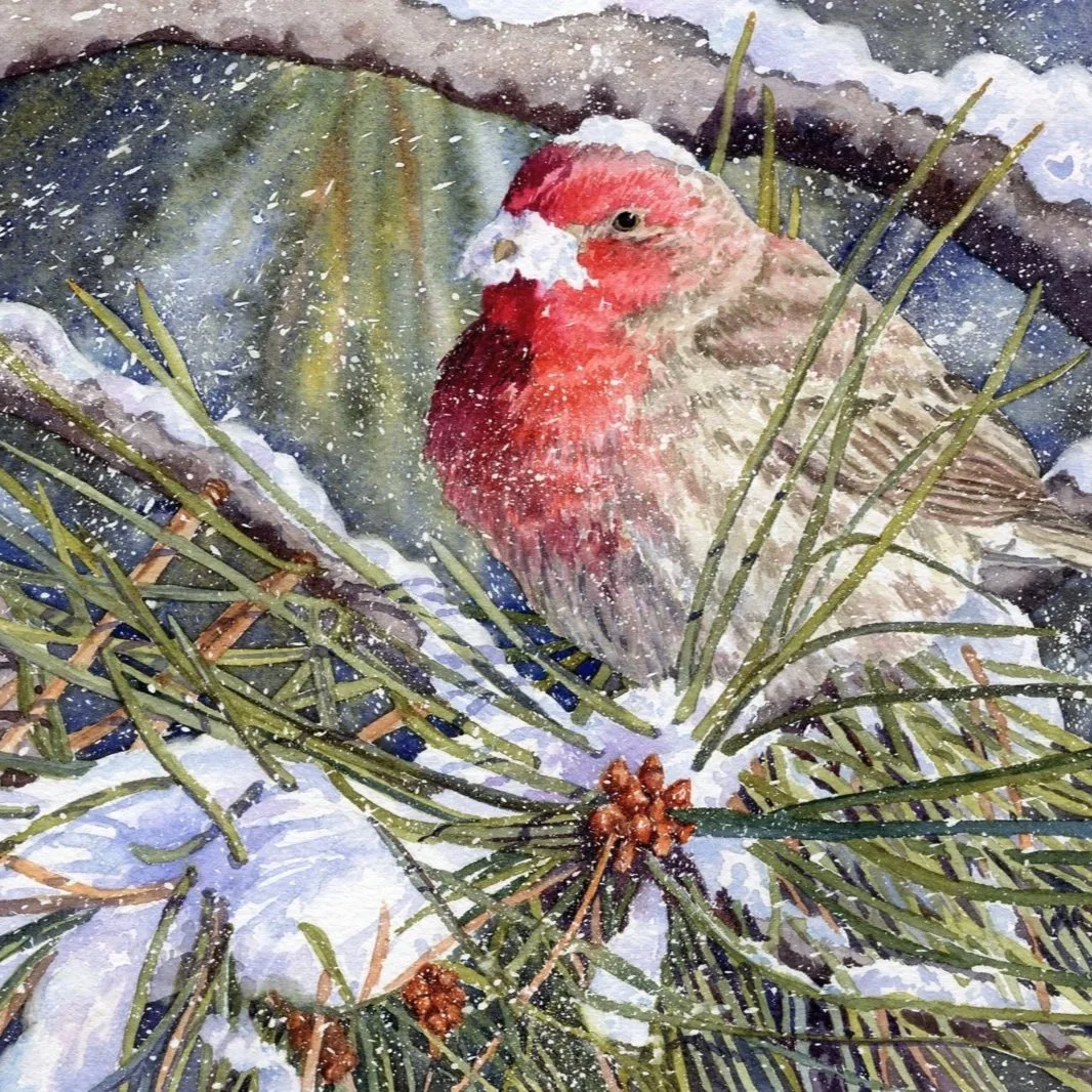 Santa-Finch-watercolor-by-Lorraine-Watry.jpg