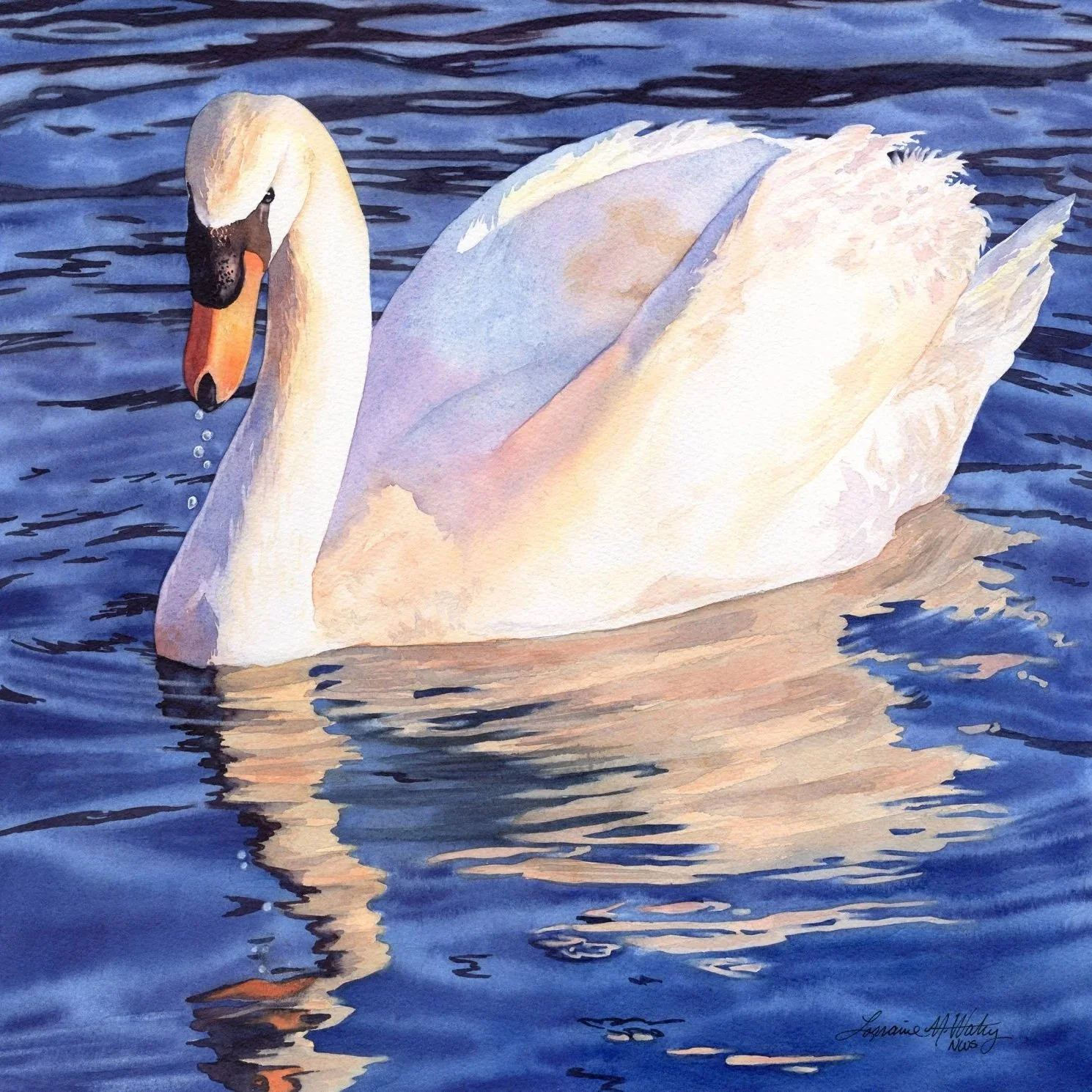 Sunset-Swan-watercolor-by-Lorraine-Watry.jpg