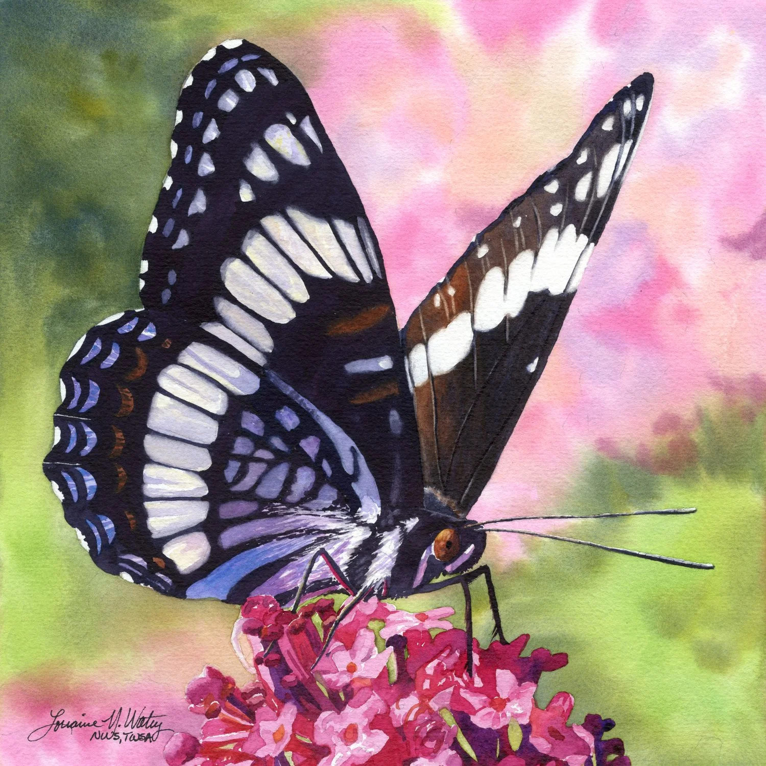 Glowing-Butterfly-Wings-watercolor-Lorraine-Watry.jpg