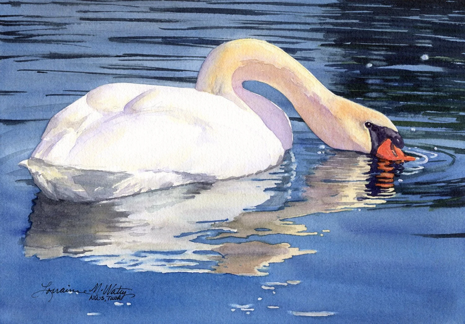 Mute-Swan-Close-Up-watercolor-Lorraine-Watry.jpg