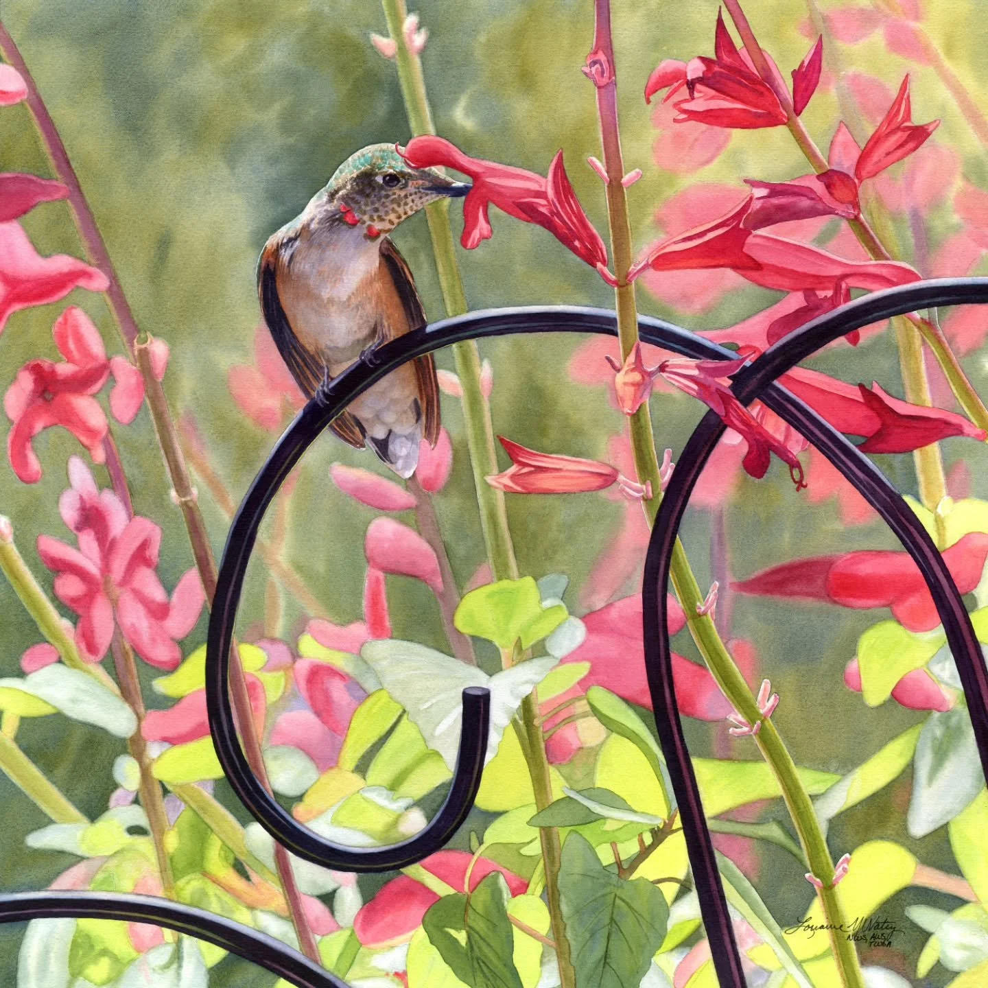 Honored and excited to hear that my new watercolor, Bejeweled (20x20), was selected for the 2026 Transparent Watercolor Society of America's 50th Annual Exhibition by Jurors, Carrie Waller, TWSA, NWS, AWS and Stewart White, NWS, AIS. The exhibition i