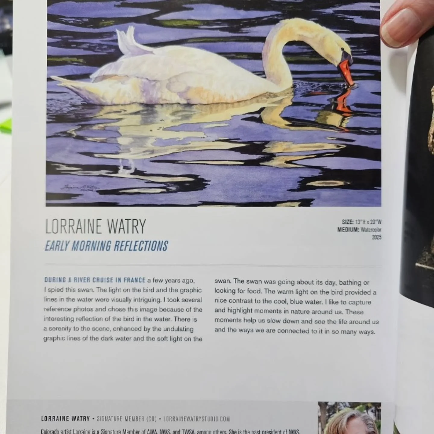 Received my beautiful catalog from the American Women Artist's, Of Mark and Meaning, Customs House Museum Exhibition today.  The exhibition runs from February 13th to April 26th. The Customs House Museum is in Clarksville, TN.