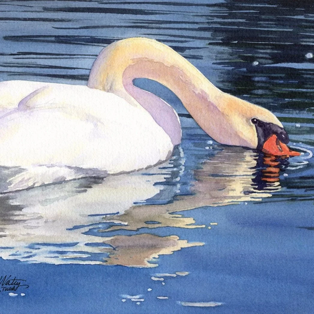 Mute-Swan-Close-Up-watercolor-Lorraine-Watry.jpg