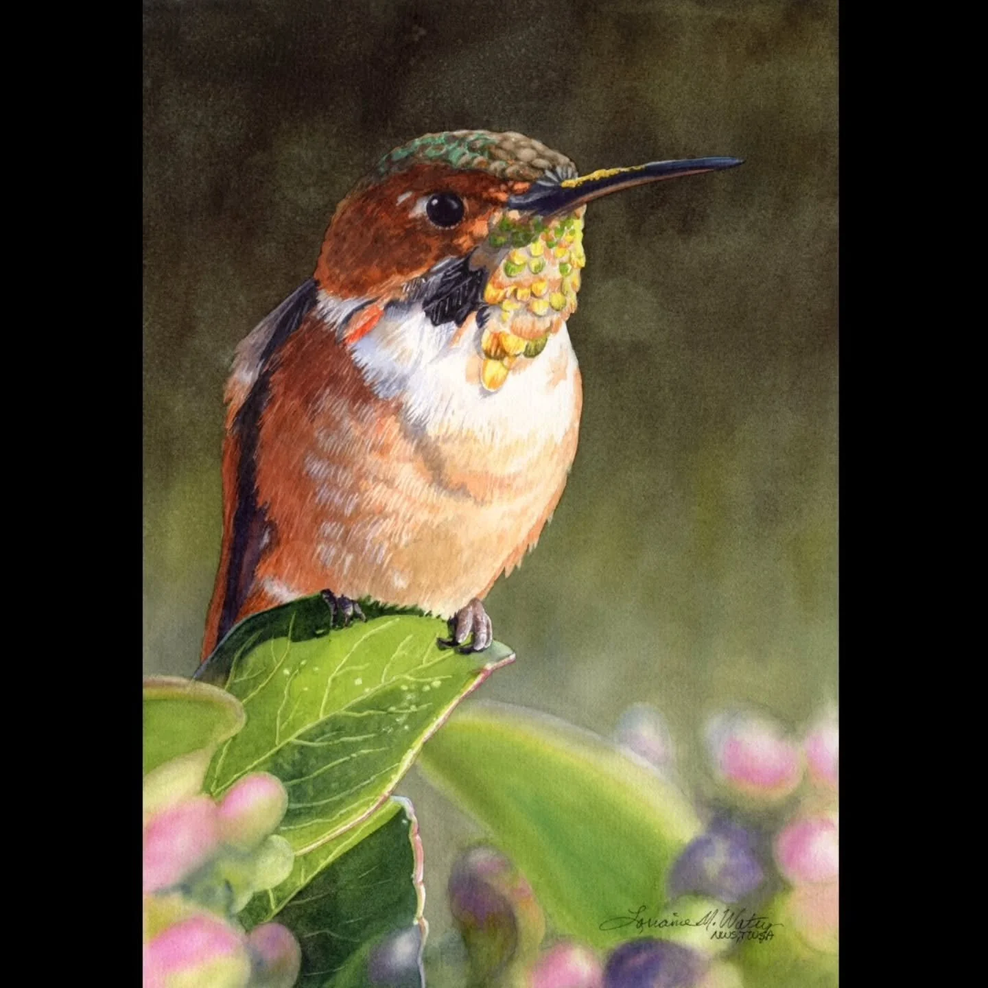 Honored to have, Sunlit Star, juried into the 2026 NWS Member Exhibition by Juror Kathleen Giles.

CONGRATULATIONS!&nbsp;

We are delighted to share the exciting news that your painting has been&nbsp;accepted&nbsp;into the&nbsp;2026 NWS Member Online