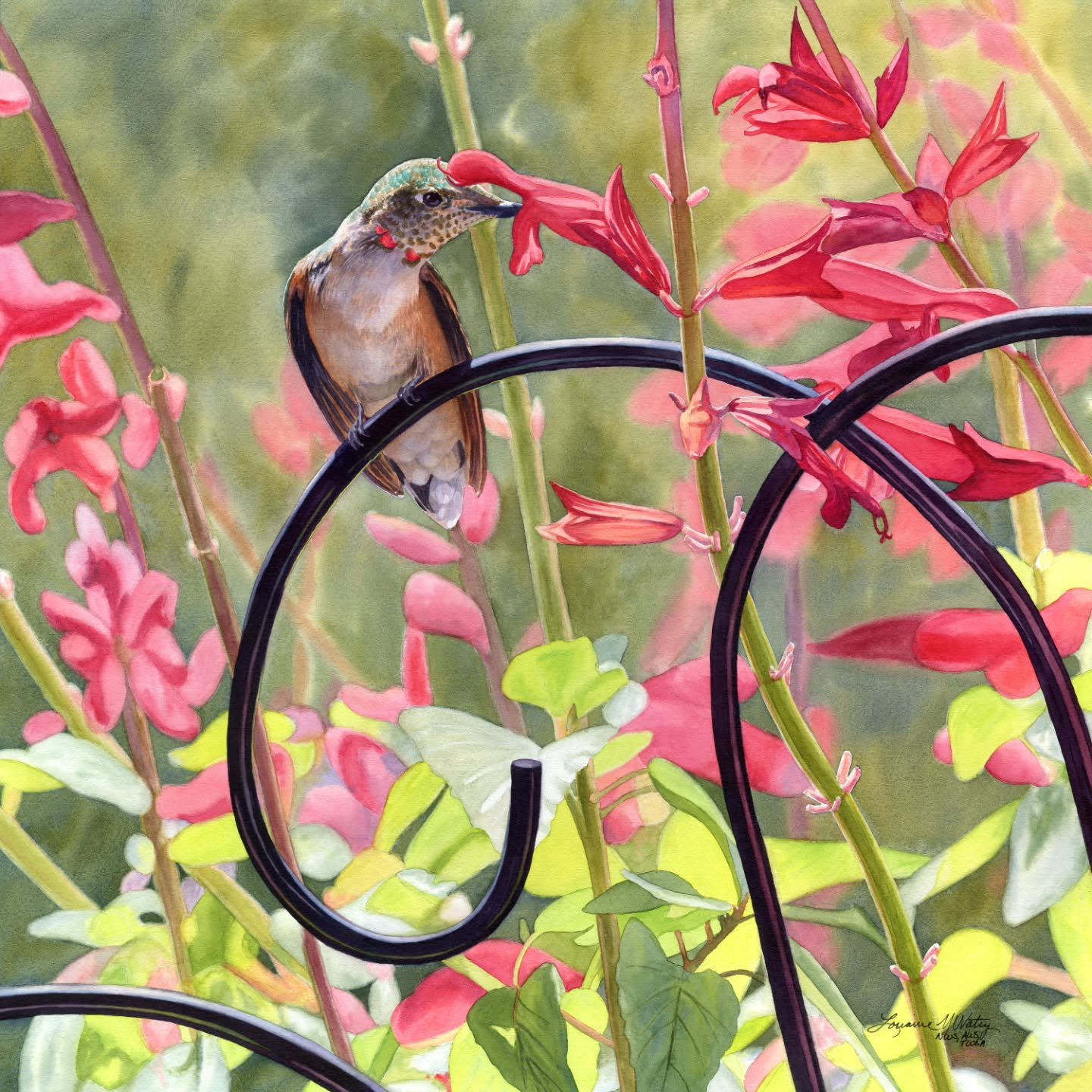 Excited and honored to learn that my watercolor, "Bejeweled", has won the Martin McManamon Memorial Award at the 2026 50th Annual Transparent Watercolor Society of America Exhibition! Many thanks to jurors Carrie Waller and Stewart White. T