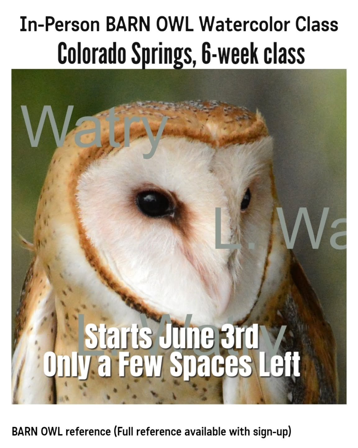 Dates: Wednesdays, June 3, 10, 17, 24, July 1, 8, 2026

Time: 1pm - 4pm (18 hrs total)

Location: In-person, Lorraine&rsquo;s home studio - Colorado Springs, CO (address with sign-up)

Contact Info: lwatry@lorrainewatrystudio.com

Description: Owls a