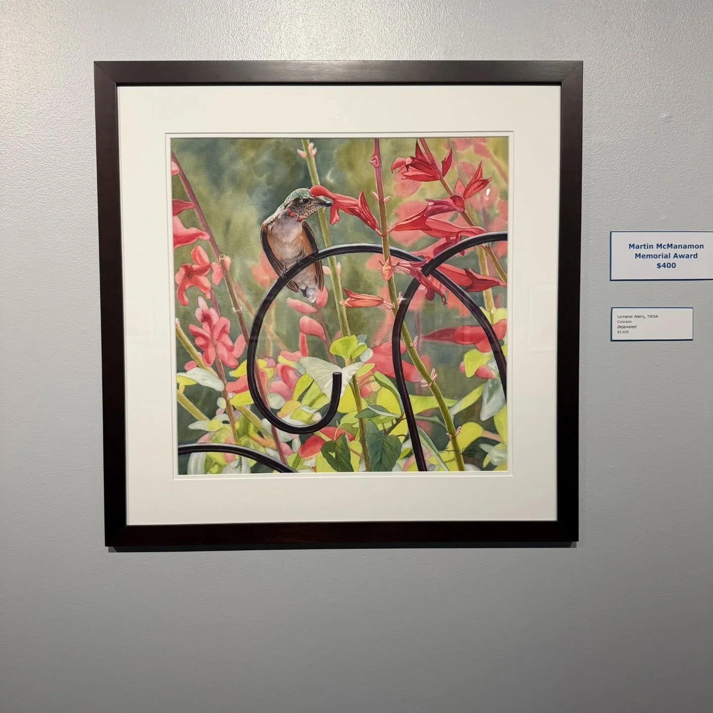 It's wonderful to see my watercolor,  Bejeweled, in situ at the 2026 50th Annual Transparent Watercolor Society Exhibition. Thanks to @carriewallerart and @donnatwyfordart for the photos and video!