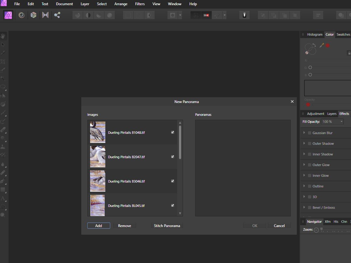 How To Scan Your Watercolor Painting — Lorraine Watry Studio