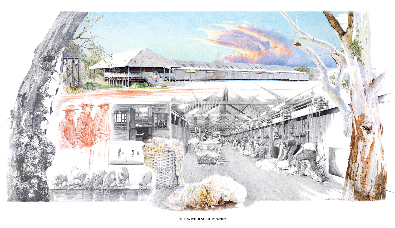 Tupra-woolshed.jpg