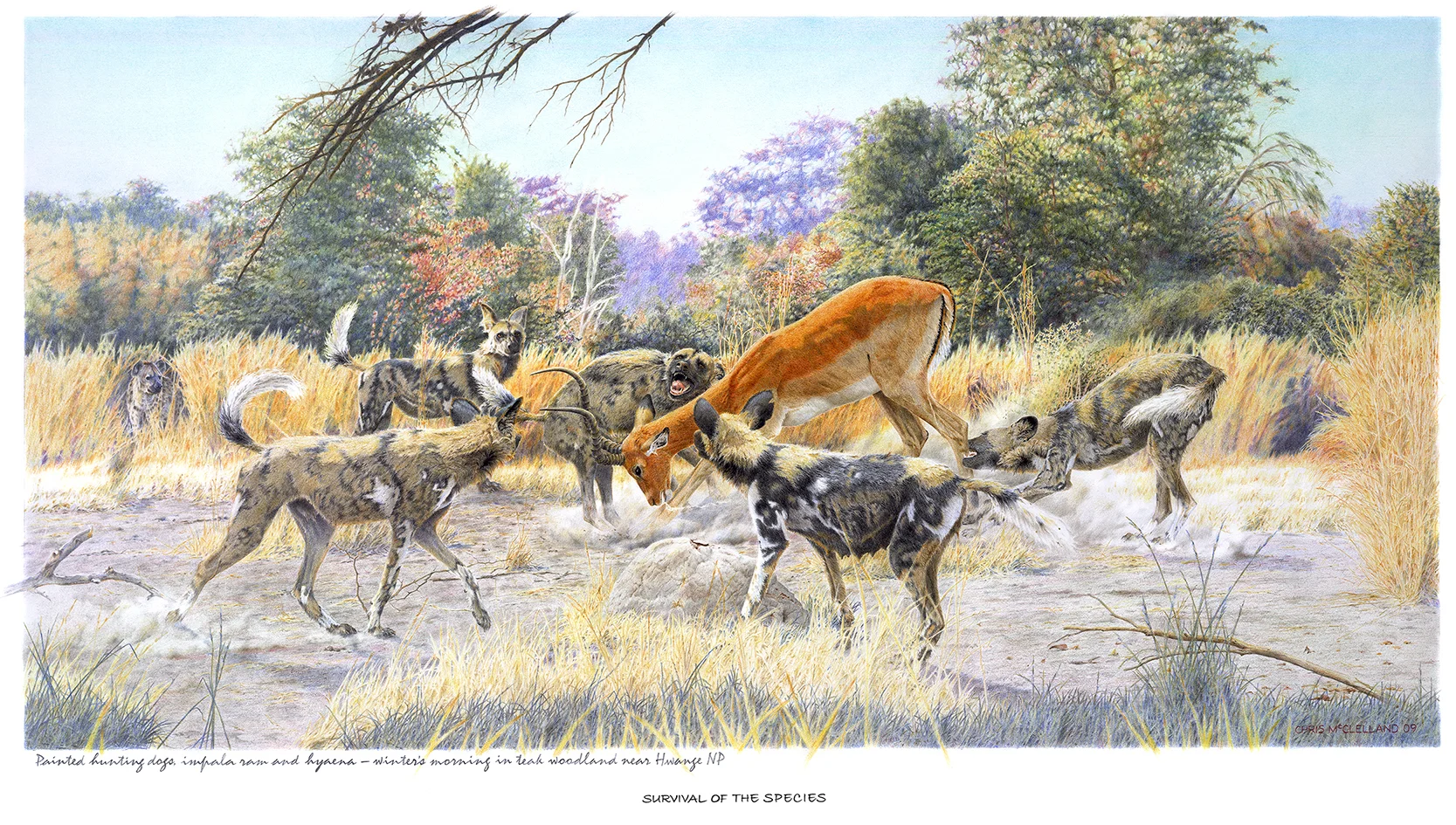survival of the species.jpg