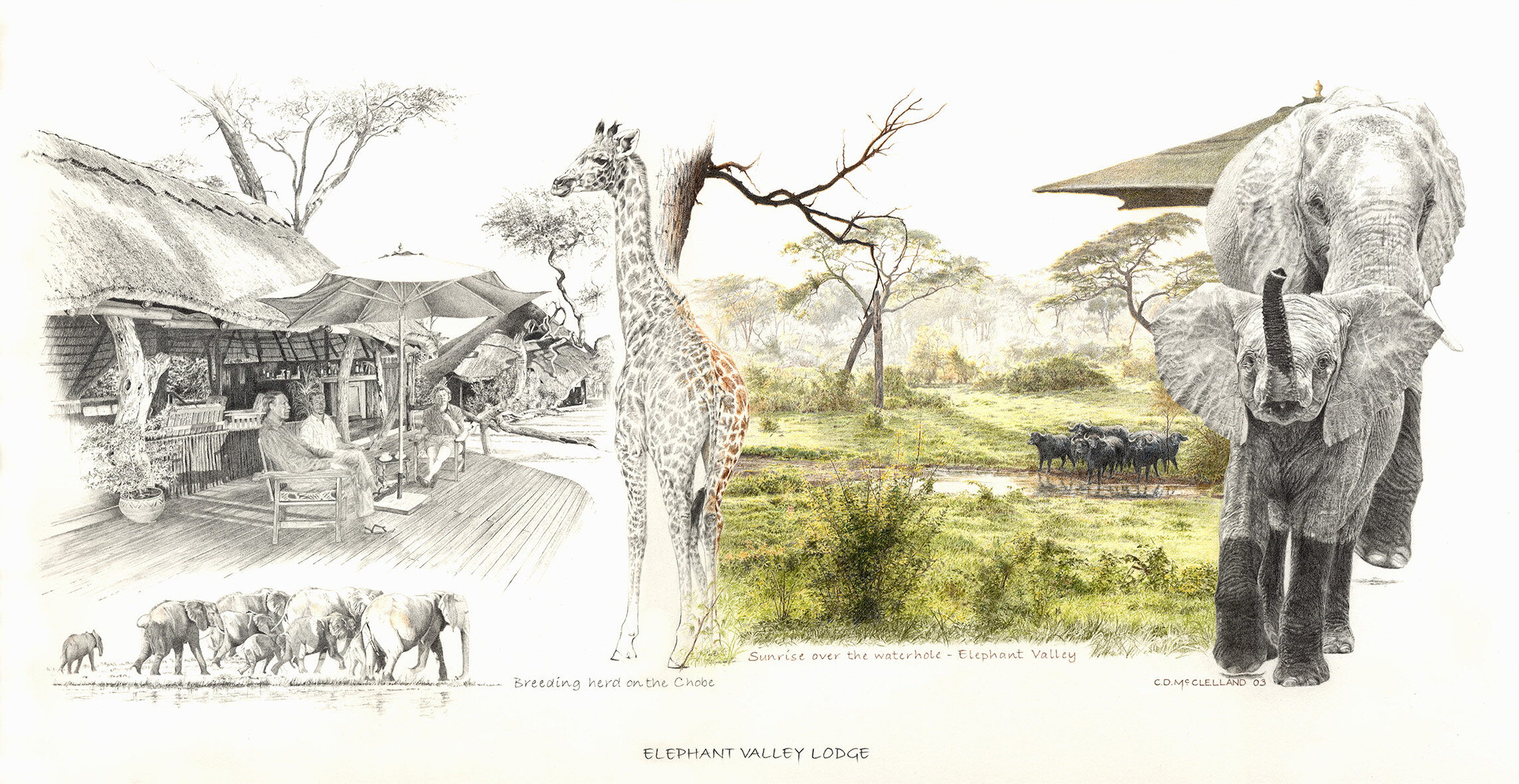 Elephant Valley Lodge