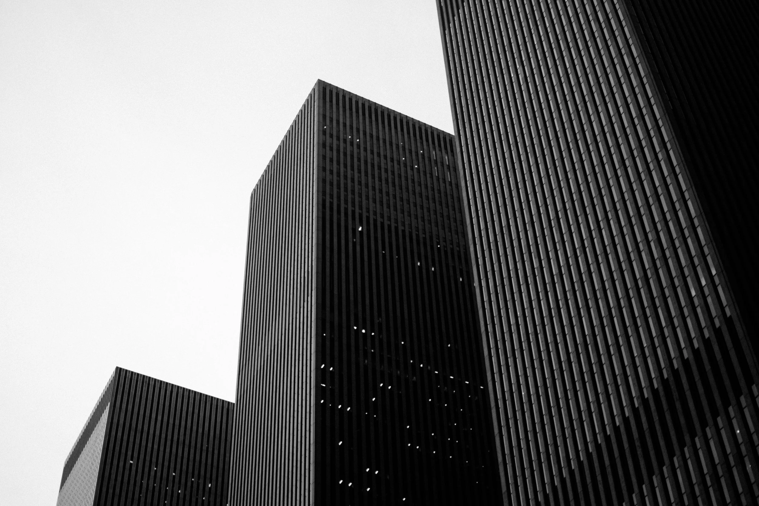 DSC_4106-2.jpg