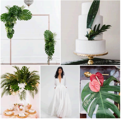 Inspiration Images for the shoot I received from Jessica