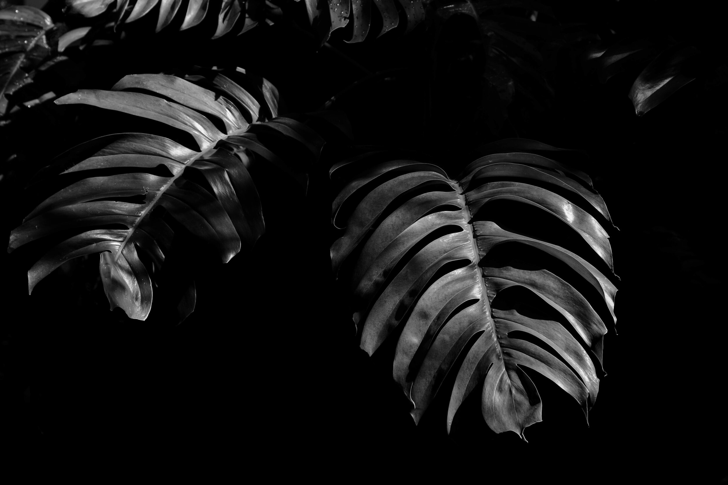 AdobeStock_187482792.jpeg