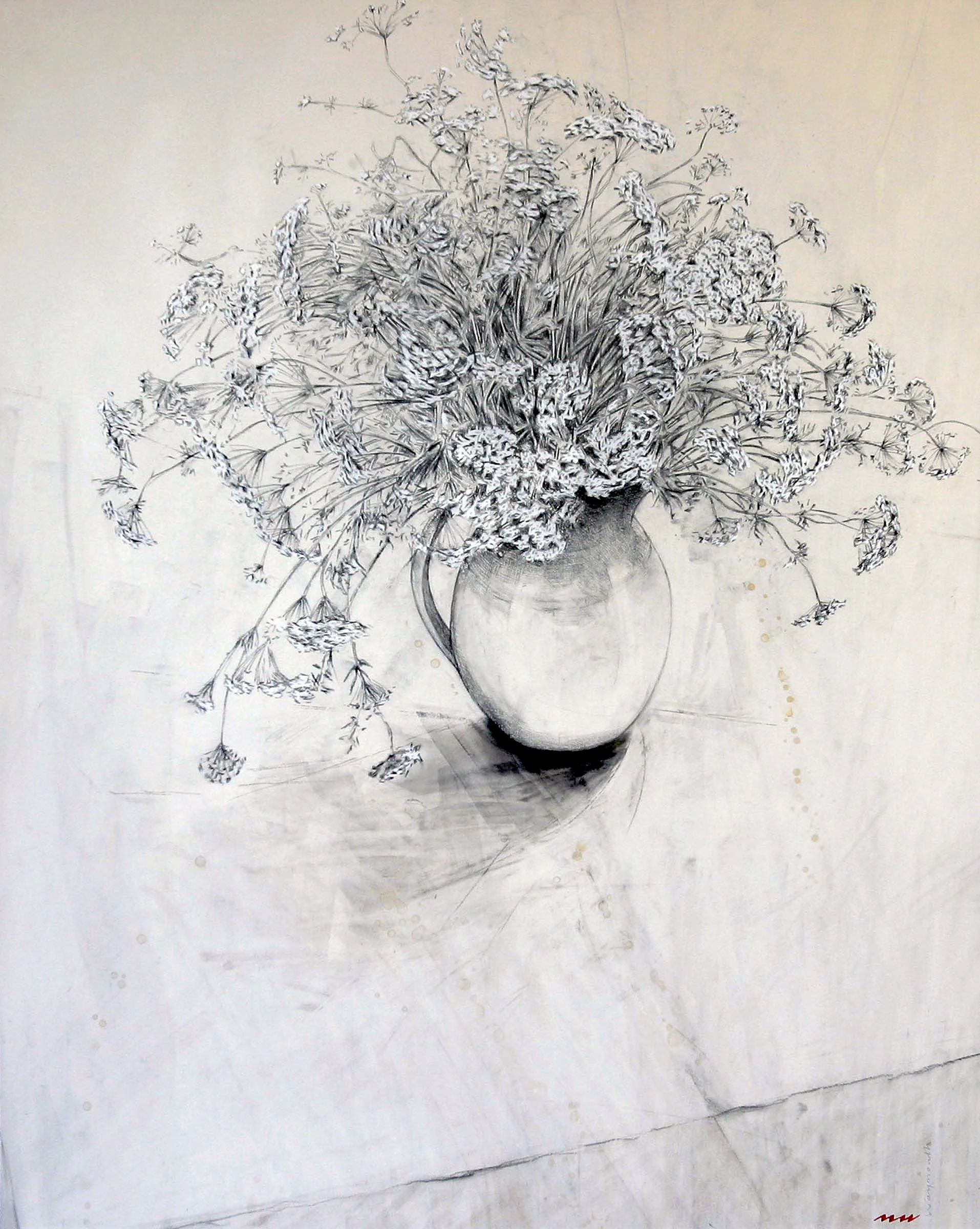 QUEEN ANNE'S LACE