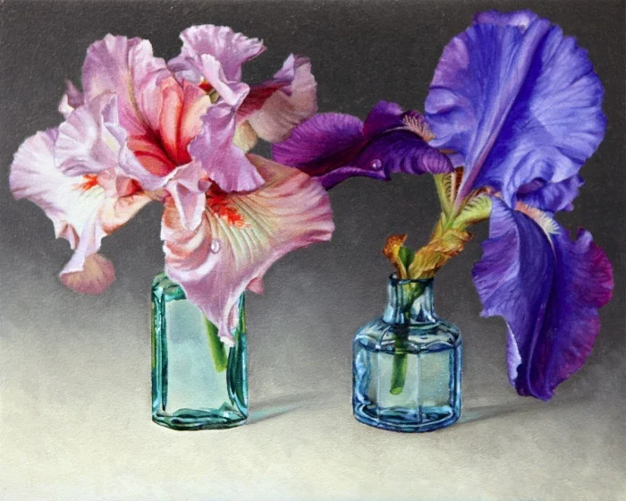 IRISES