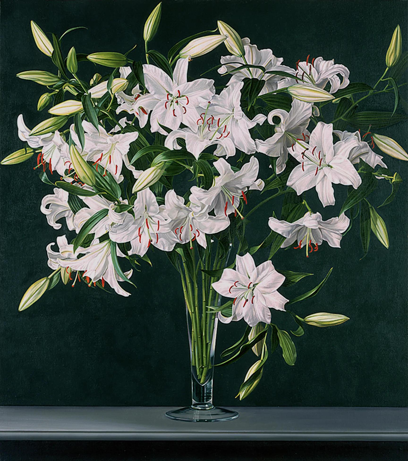 CASABLANCA LILIES