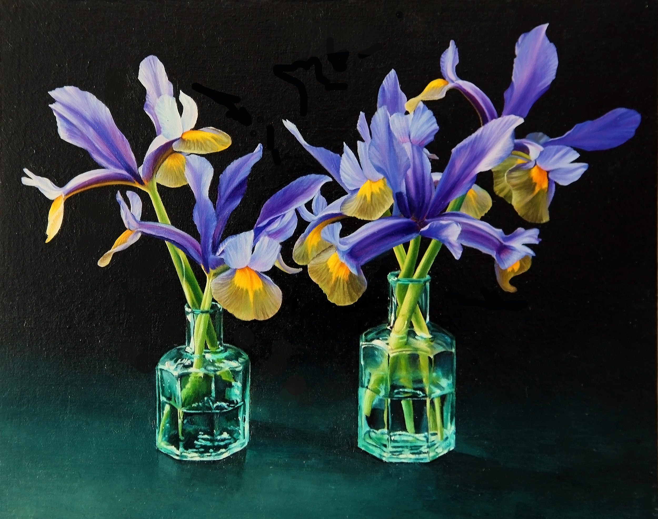 IRISES