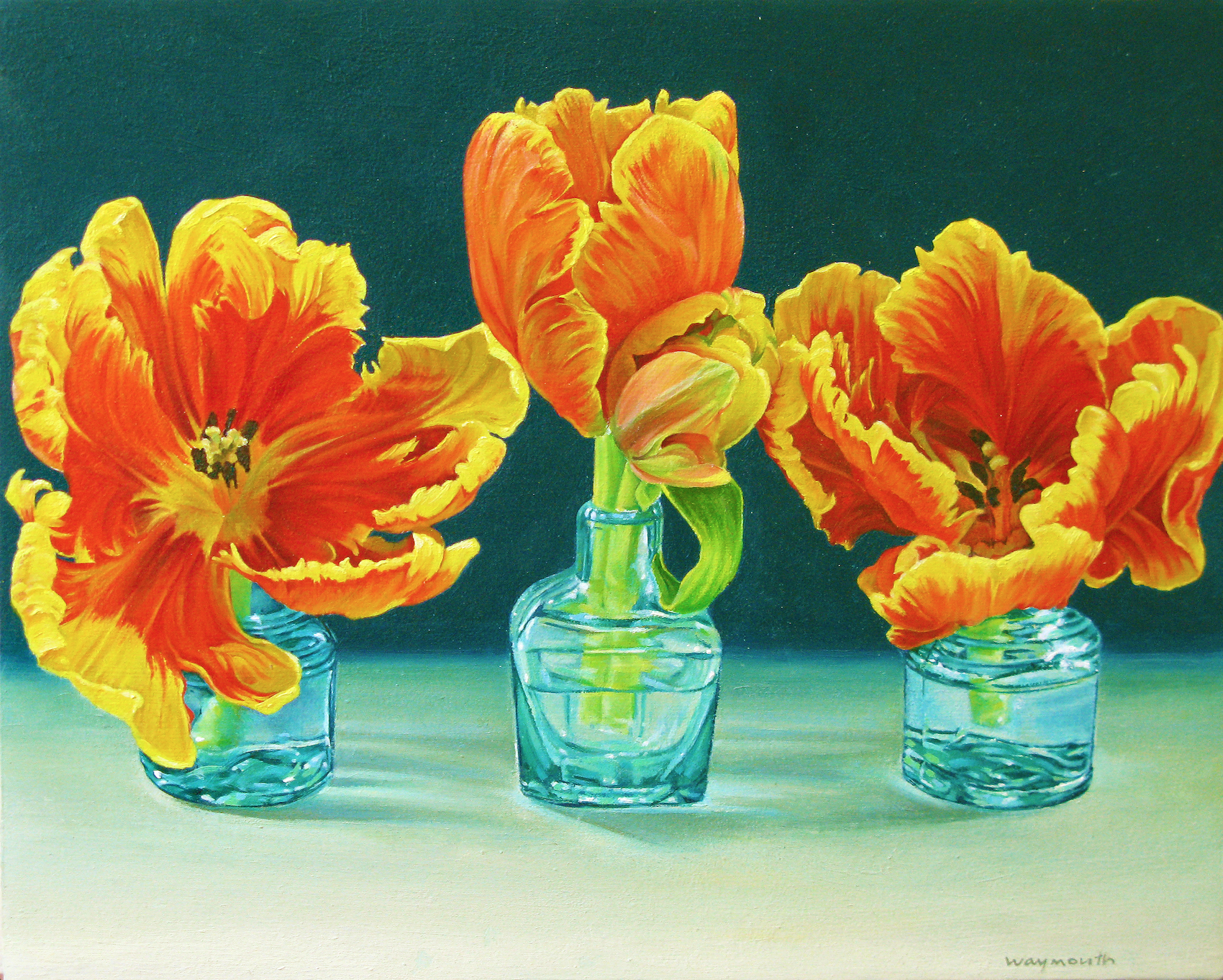 PARROT TULIPS