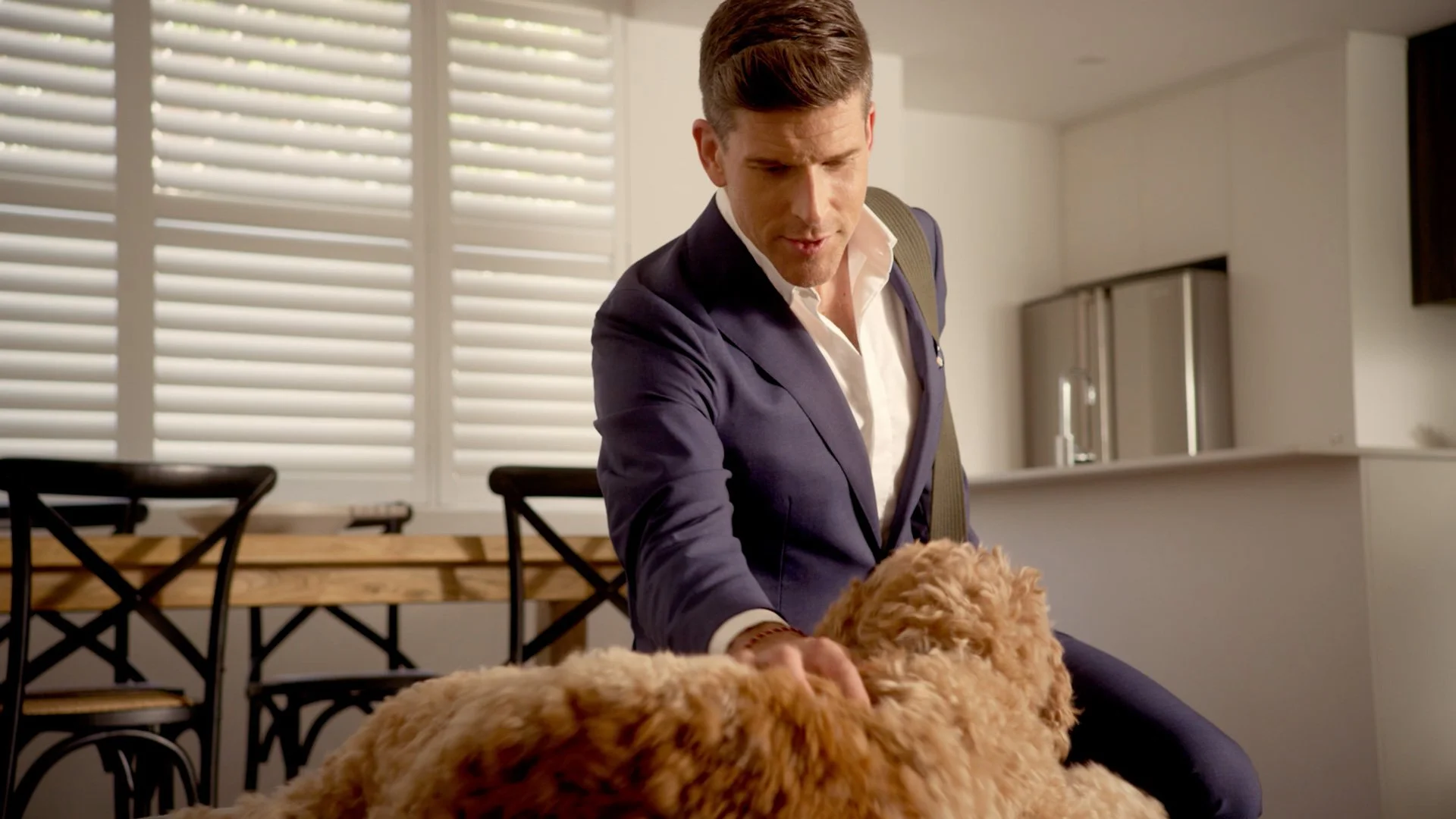 aud-for-dogs.jpg