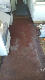 Carpet's out!