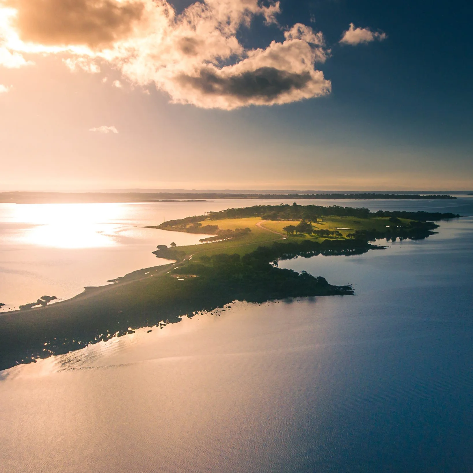 44352419_drone services1809950745770152_3221916639612108800_o.jpg