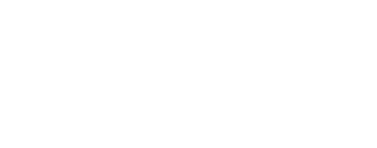 Velocis.png