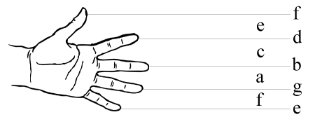 hand-staff-450.gif