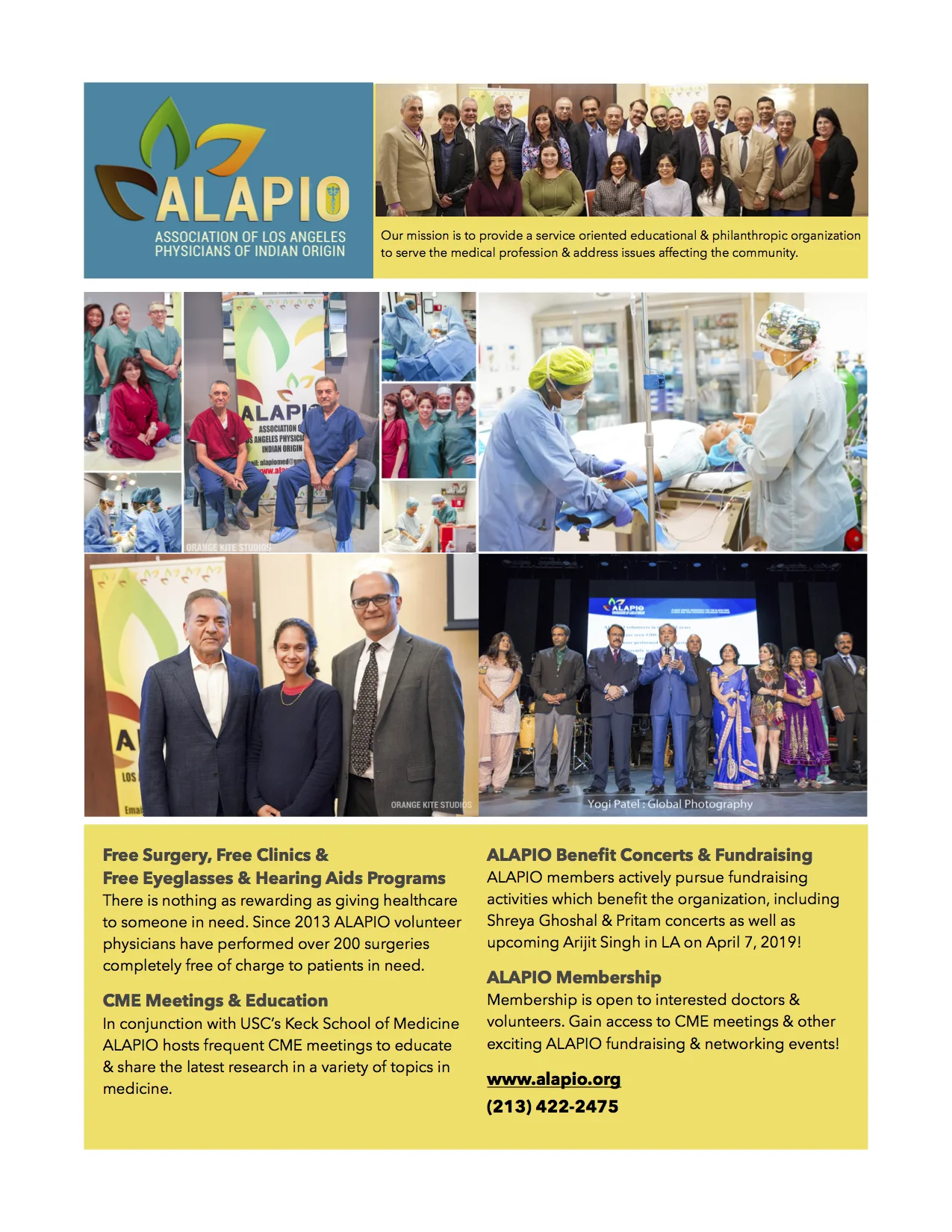 ALAPIO_flyer.jpg