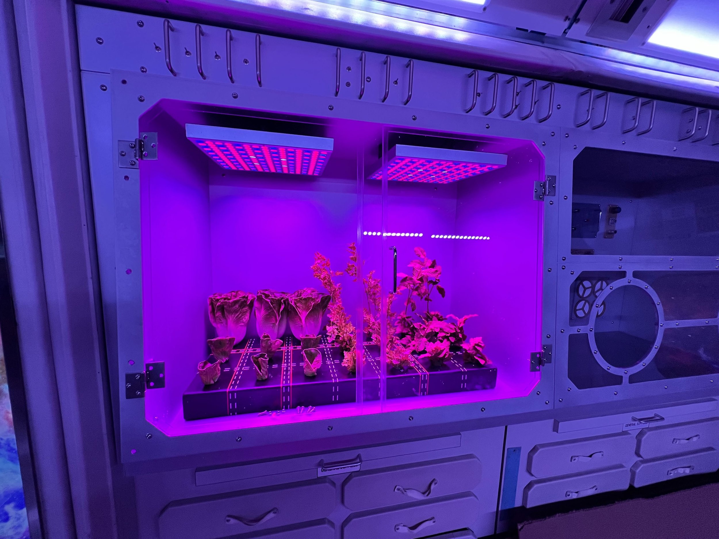 NASA SPACE CENTER - ISS Stage – Grow Box Educational Display System