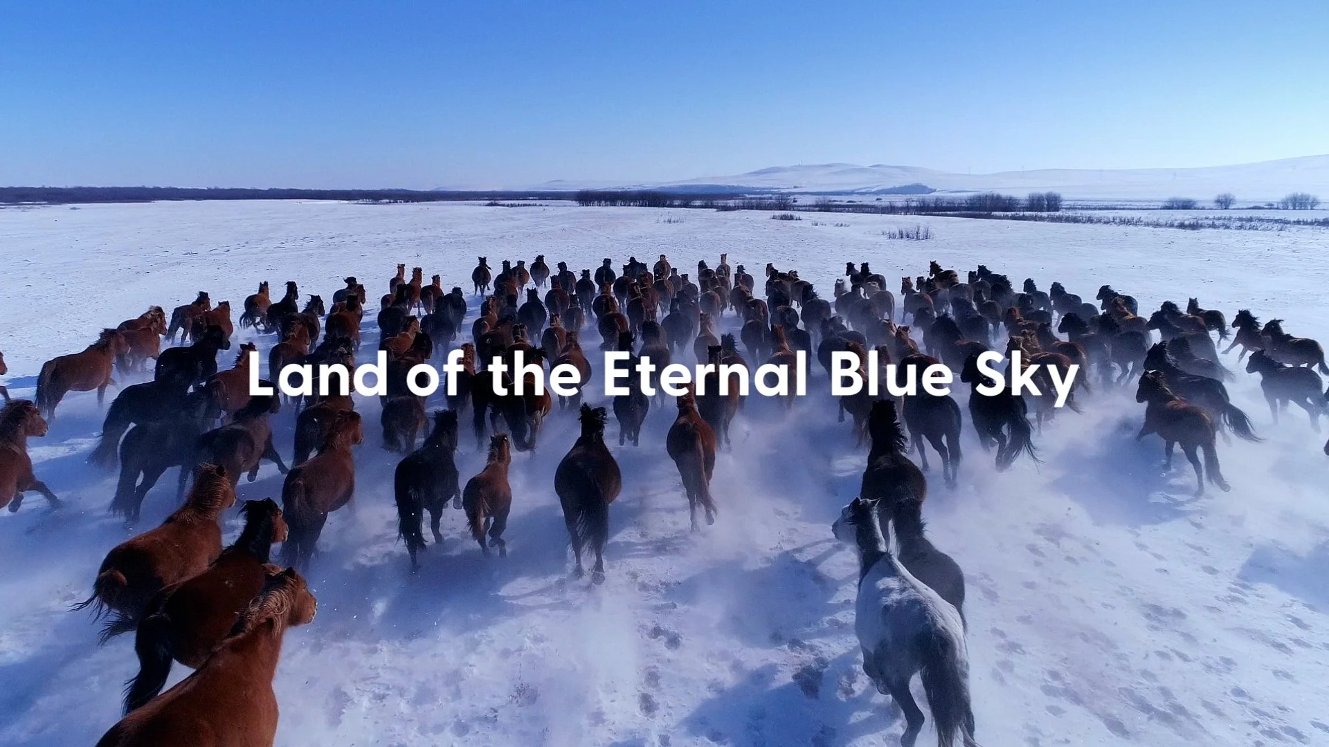 GO Mongolia DC MASTER Still 05.jpg