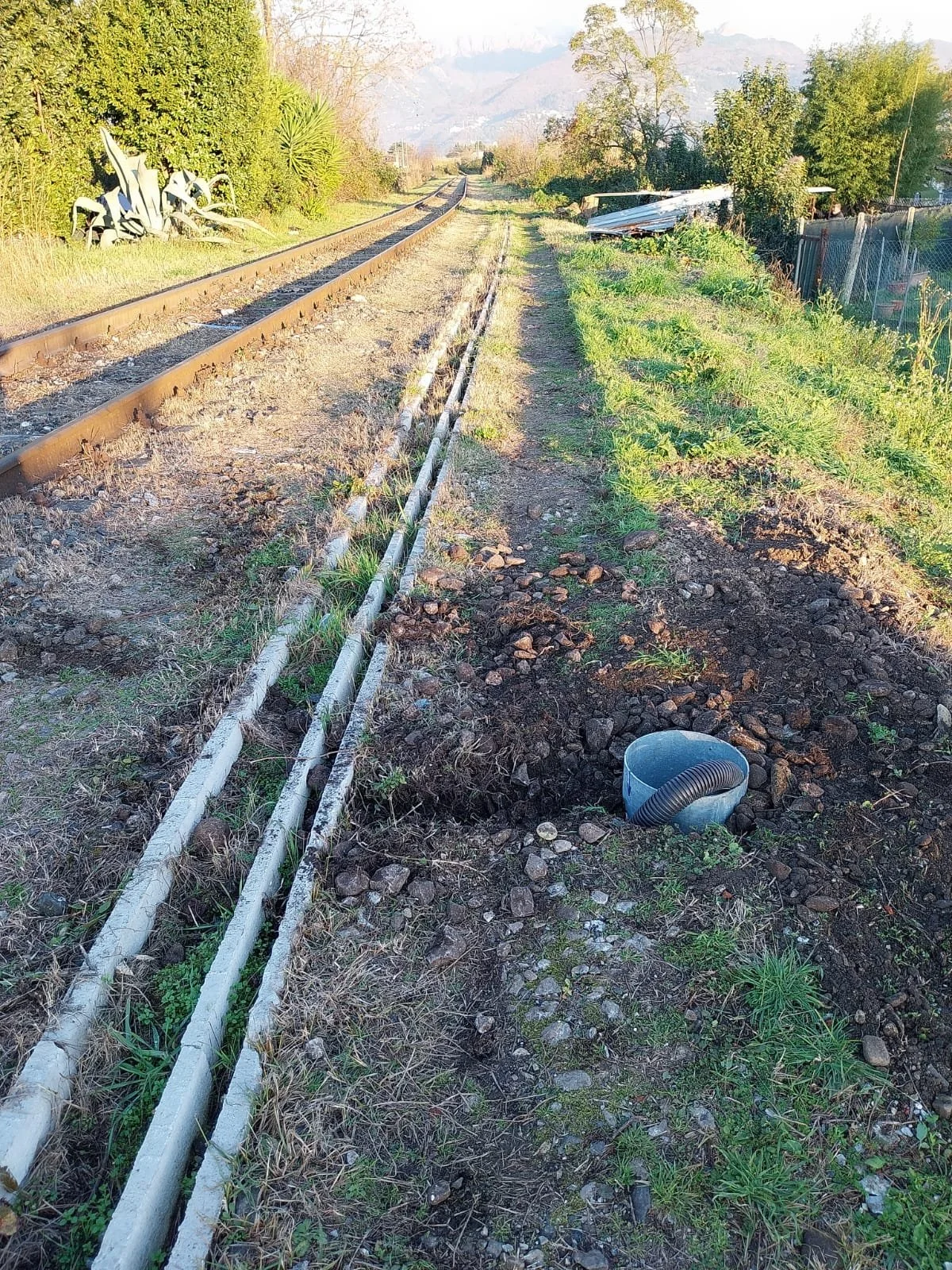 WhatsApp Image 2025-12-30 at 16.13.51.jpeg