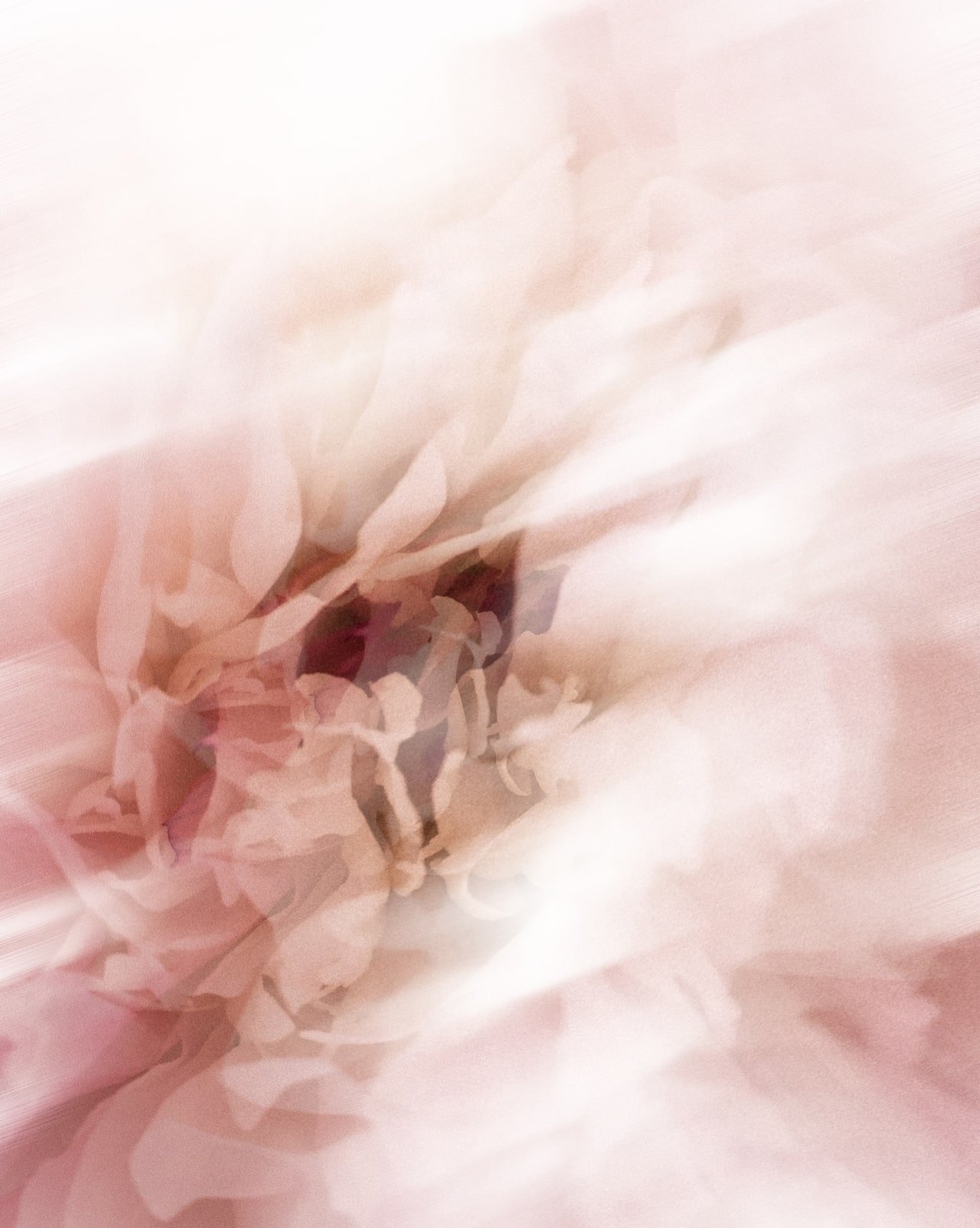 soothing eye cream support 2.jpg