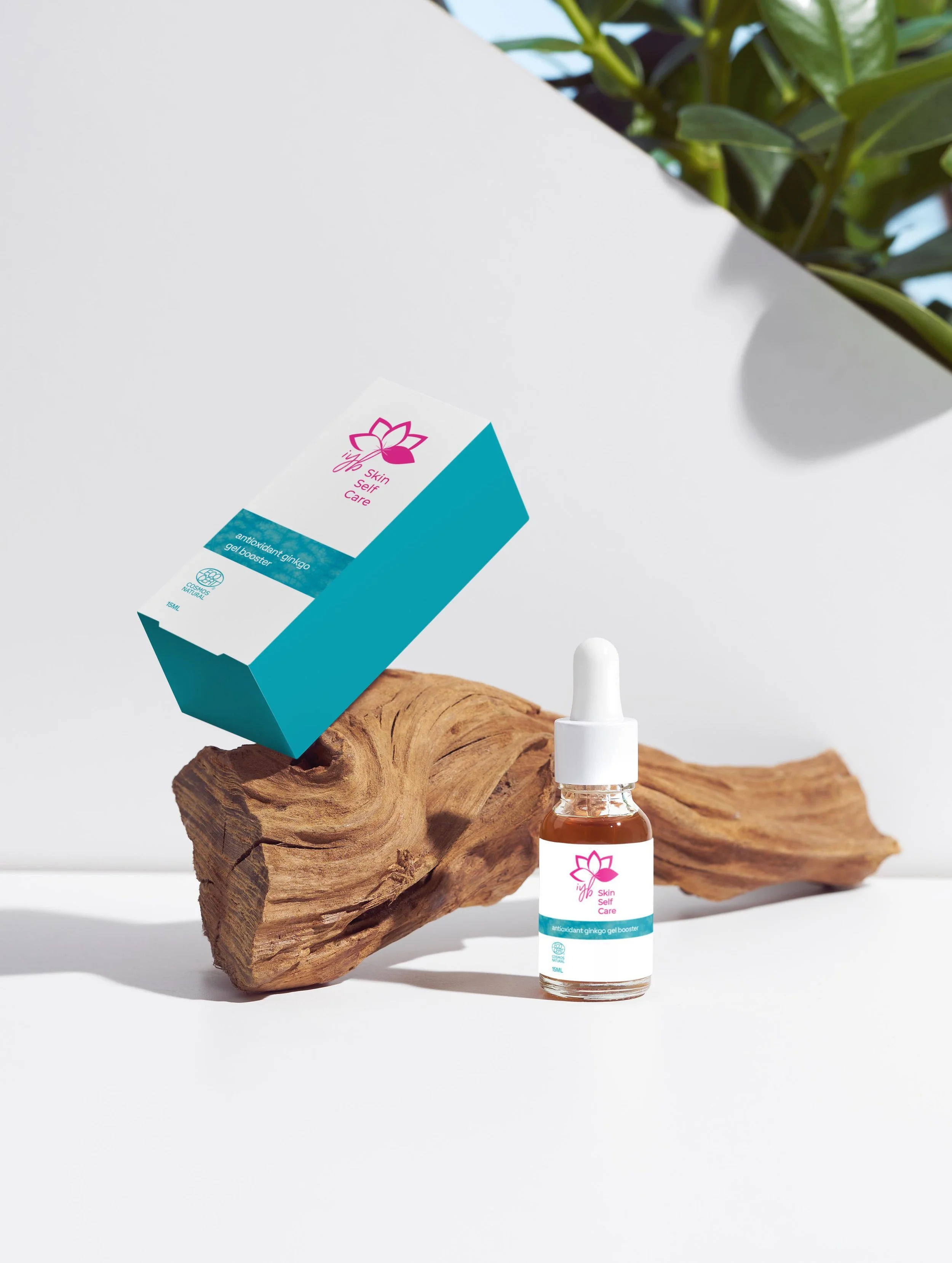 antiox booster serum.jpg