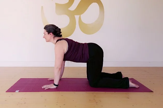 Cow Pose