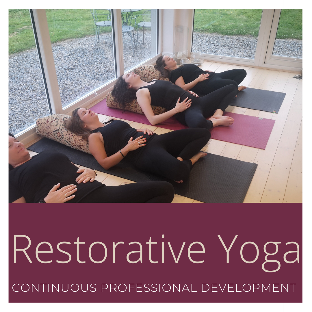 Restorative Yoga CPD - 2 Day Course (Copy)