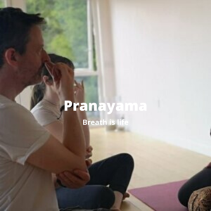 Pranyama - Yoga Teacher Training Course Content - Aruna Yoga.png