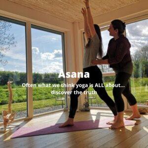 Asana - yoga poses - learning to teach yoga poses - Yoga Teacher Training - Aruna Yoga.png