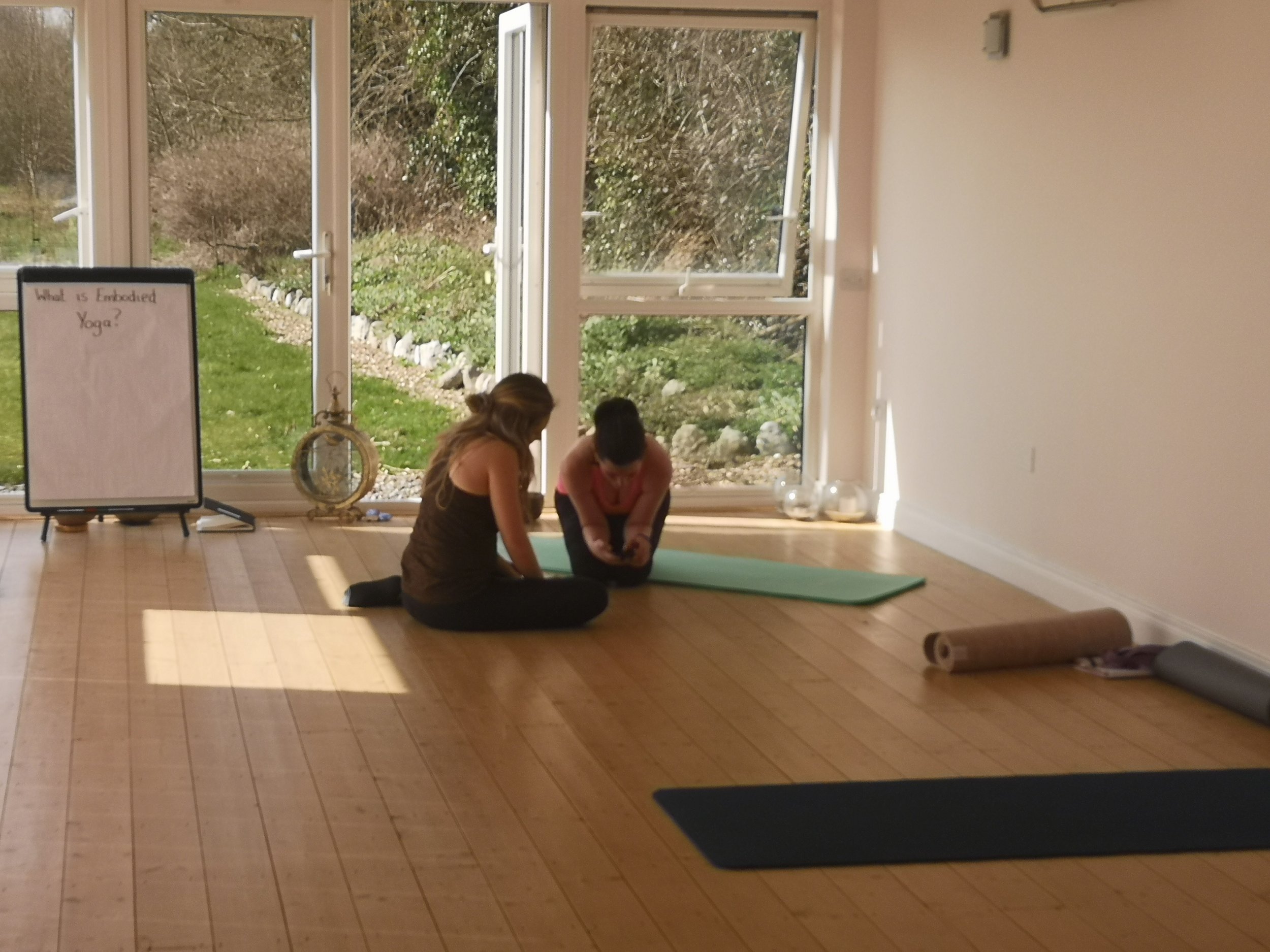 Aruna Yoga with Laura Wynne - Yoga Teacher Training - Maynooth Ireland.jpg