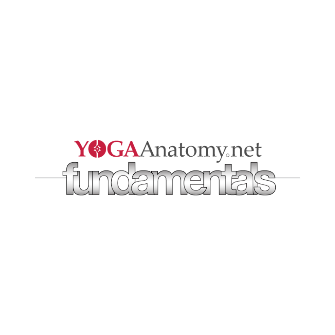 Yoga Fundamentals by Leslie Kaminoff and Amy Matthews