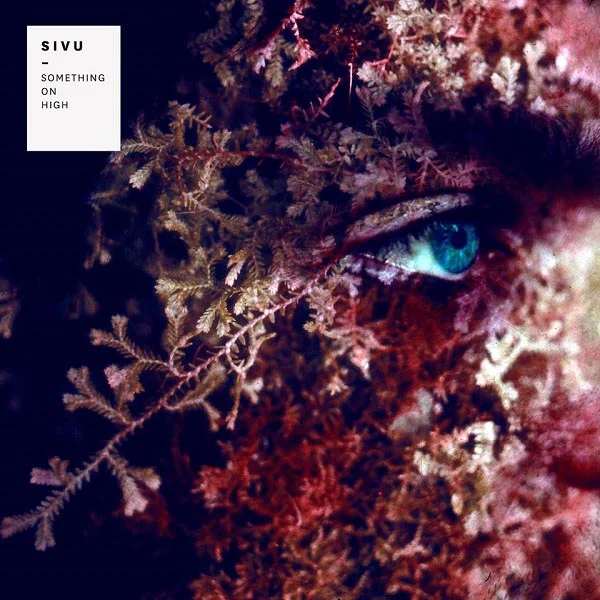 2014Sivu_SomethingOnHigh011014.jpg