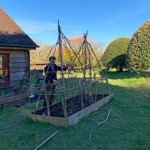 Couple of hazel twig obelisks for the Raspberry&rsquo;s and Sweet Peas to grow through.