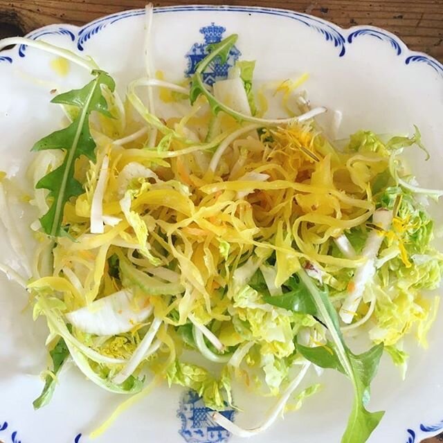 Foraging with Lucy. Delicious spring salad with dandelion and Lucy&rsquo;s homemade kraut. @meonkraut @lucyogilviegrant #foragingwithlucy #foraging #wildfood