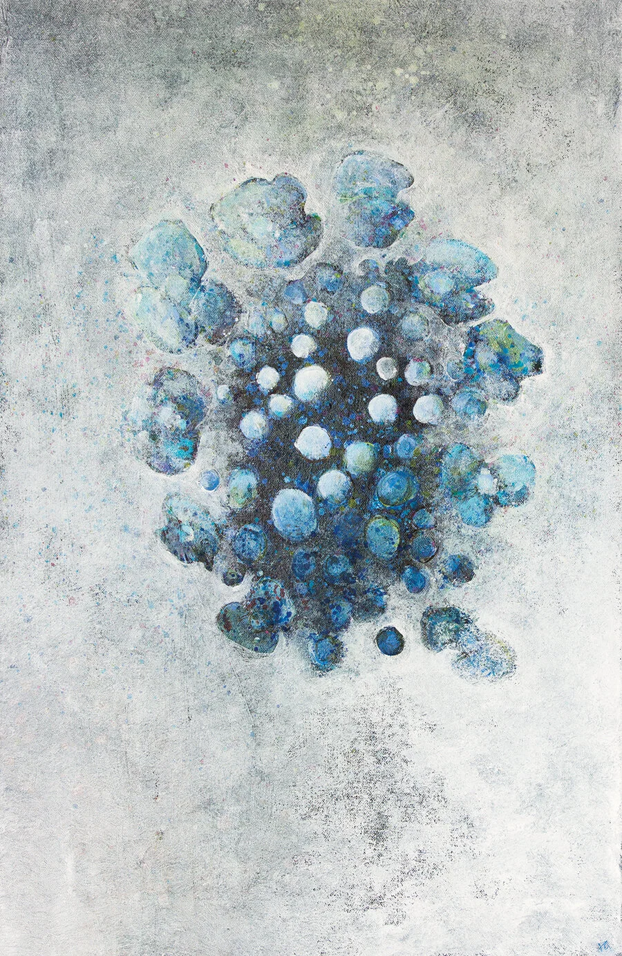 Blue_Hydrangea (1).jpg