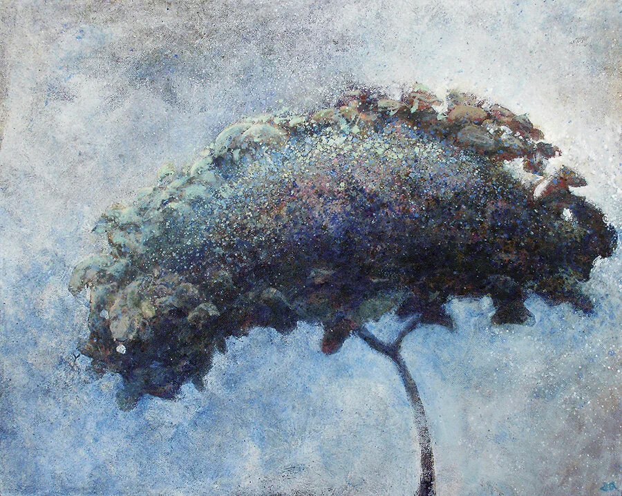 Hydrangea.jpg