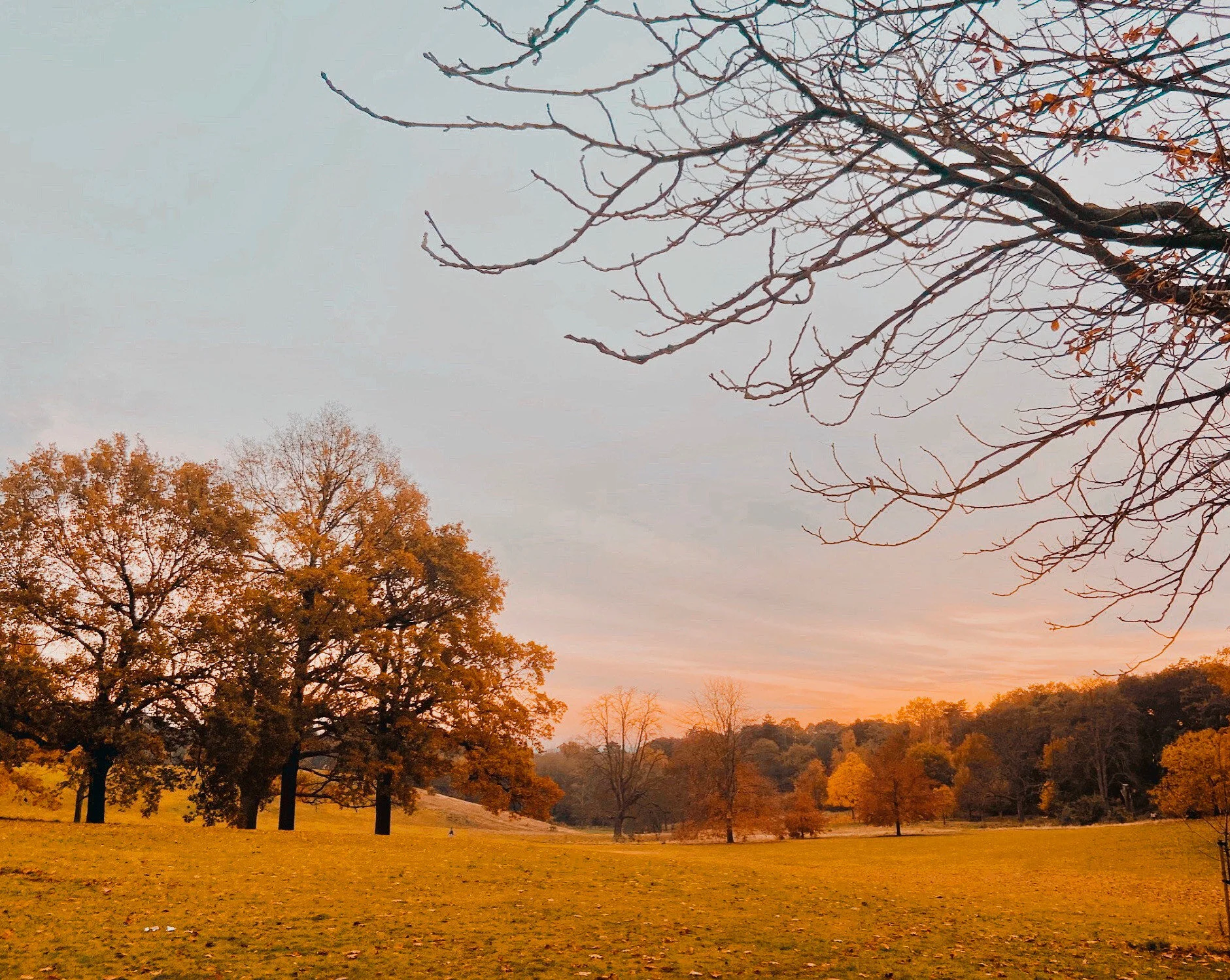 Seasonal content sorted?